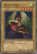 Queen Bird SRL-EN009