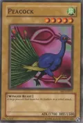 Peacock SRL-EN011