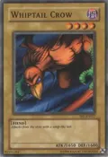 Whiptail Crow SRL-EN027