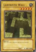 Labyrinth Wall SRL-EN055