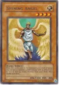 Shining Angel SRL-EN088