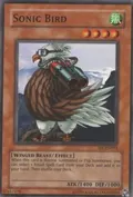 Sonic Bird SRL-EN093