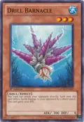 Drill Barnacle GENF-EN007