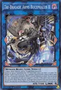 Tri-Brigade Arms Bucephalus II PHHY-EN048