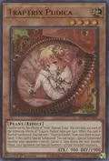 Traptrix Pudica SDBT-EN001