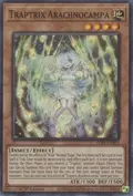 Traptrix Arachnocampa SDBT-EN002