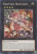 Traptrix Rafflesia SDBT-EN039