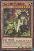 Traptrix Vesiculo SDBT-EN008