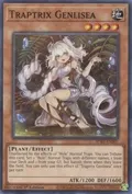 Traptrix Genlisea SDBT-EN007