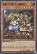 Traptrix Dionaea SDBT-EN006