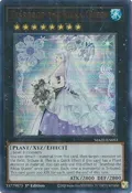 Teardrop the Rikka Queen MAZE-EN053