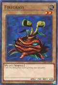 Firegrass LOB-EN018
