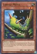 Larvae Moth MRD-EN007