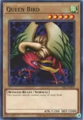 Queen Bird SRL-EN009