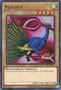 Peacock SRL-EN011