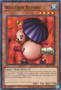 Weather Report SRL-EN020