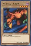 Whiptail Crow SRL-EN027