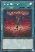 Final Destiny SRL-EN035
