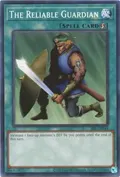 The Reliable Guardian SRL-EN044