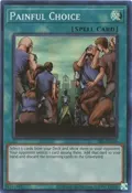 Painful Choice SRL-EN049