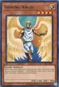 Shining Angel SRL-EN088