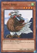 Sonic Bird SRL-EN093