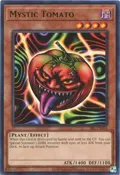 Mystic Tomato SRL-EN094