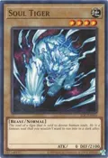 Soul Tiger IOC-EN003