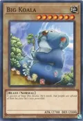 Big Koala IOC-EN004