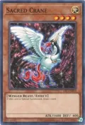 Sacred Crane IOC-EN069