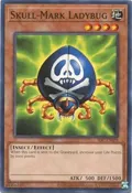 Skull-Mark Ladybug IOC-EN079