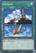 Salvage IOC-EN096