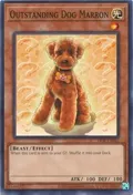 Outstanding Dog Marron DCR-EN062