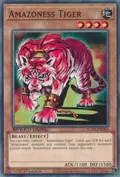 Amazoness Tiger SGX3-END03