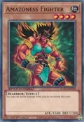 Amazoness Fighter SGX3-END06