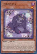 Purrelyly CYAC-EN018