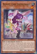 Bunny Ear Enthusiast CYAC-EN032