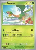 Tropius #007/193