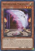 Impcantation Penciplume WISU-EN048