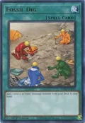 Fossil Dig WISU-EN055