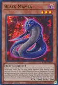 Black Mamba BLMR-EN019