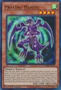 Praying Mantis BLMR-EN033
