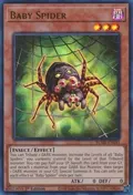 Baby Spider BLMR-EN045