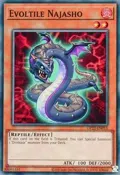 Evoltile Najasho OP22-EN015