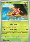 Shuckle #005/197