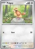 Pidgey #162/197