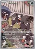 Houndour #204/197