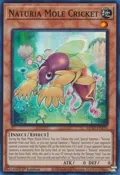Naturia Mole Cricket MP23-EN170