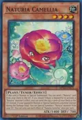 Naturia Camellia MP23-EN171