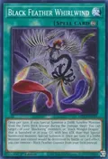 Black Feather Whirlwind MP23-EN195